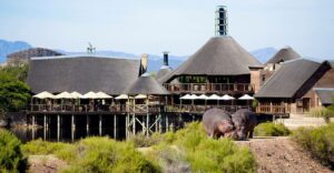 buffelsdrift-game-lodge-safari-park-karoo
