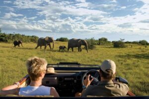 fehlverhalten-safari-game-drive-suedafrika-lalibela-game-reserve